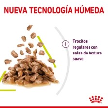Royal Canin Sensory Smell en salsa 12x85gr