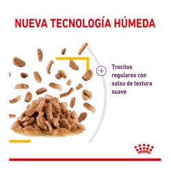 Royal Canin Sensory Taste salsa 12x85gr