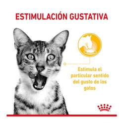 Royal Canin Sensory Taste salsa 12x85gr
