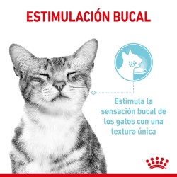 Royal Canin Sensory Taste salsa 12x85gr