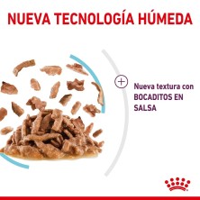 Royal Canin Sensory Taste salsa 12x85gr