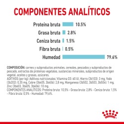 Royal Canin Sensory Taste salsa 12x85gr