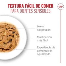 Royal Canin Ageing 11+  Senior En Salsa 12x85gr