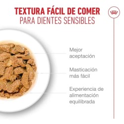 Royal Canin Ageing 11+  Senior En Salsa 12x85gr
