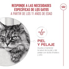 Royal Canin Ageing 11+  Senior En Salsa 12x85gr