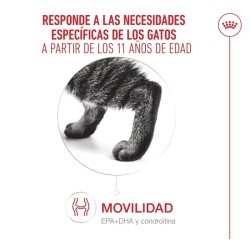 Royal Canin Ageing 11+  Senior En Salsa 12x85gr
