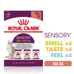 Royal Canin Sensory en salsa - Pack mixto (Smell/Taste/Feel) 12x85gr