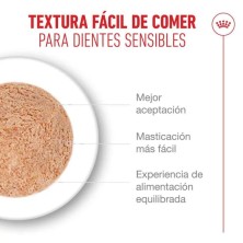 ROYAL CANIN AGEING 11+ Mousse GATOS SENIOR 12X85GR
