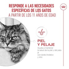 ROYAL CANIN AGEING 11+ Mousse GATOS SENIOR 12X85GR