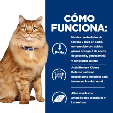 Hill's Gatos Kidney + Mobility Pollo