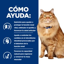 Hill's Gatos Kidney + Mobility Pollo