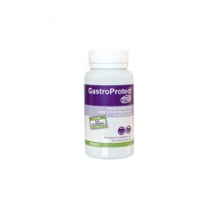 Gastro Protect 30 Comprimidos