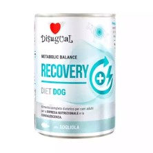DISUGUAL DIET DOG RECOVERY...