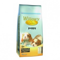 willowy gold puppy 15kg