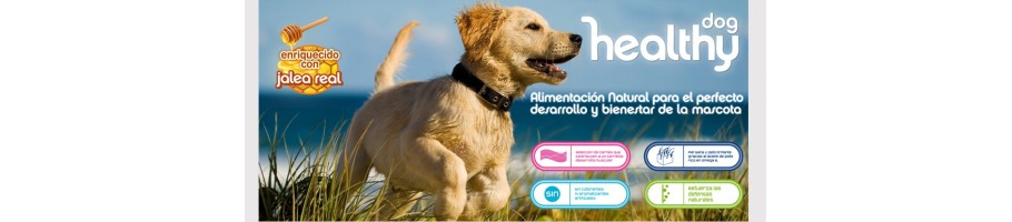 VISAN DOG HEALTHY 