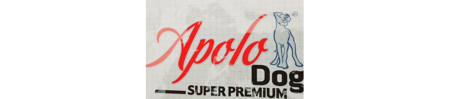 APOLO DOG 