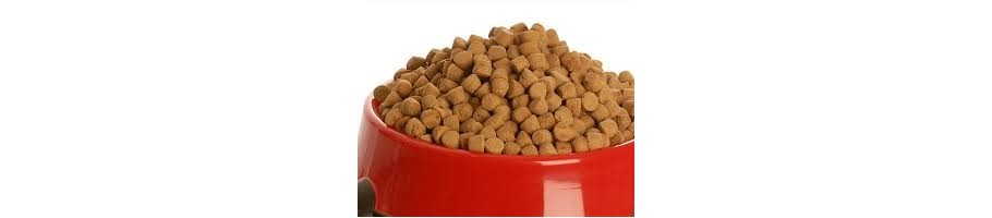 ROYAL CANIN VETERINARY DIET ALIMENTO SECO