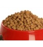 ROYAL CANIN VETERINARY DIET ALIMENTO SECO