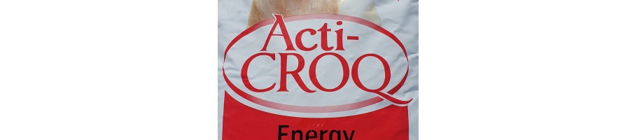 ACTI CROCK