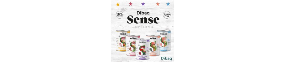 Dibaq Sense