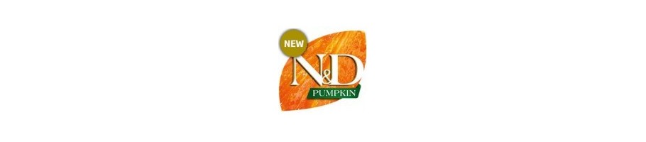 N&D Punkin