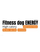 FITNESS DOG  DAILY 